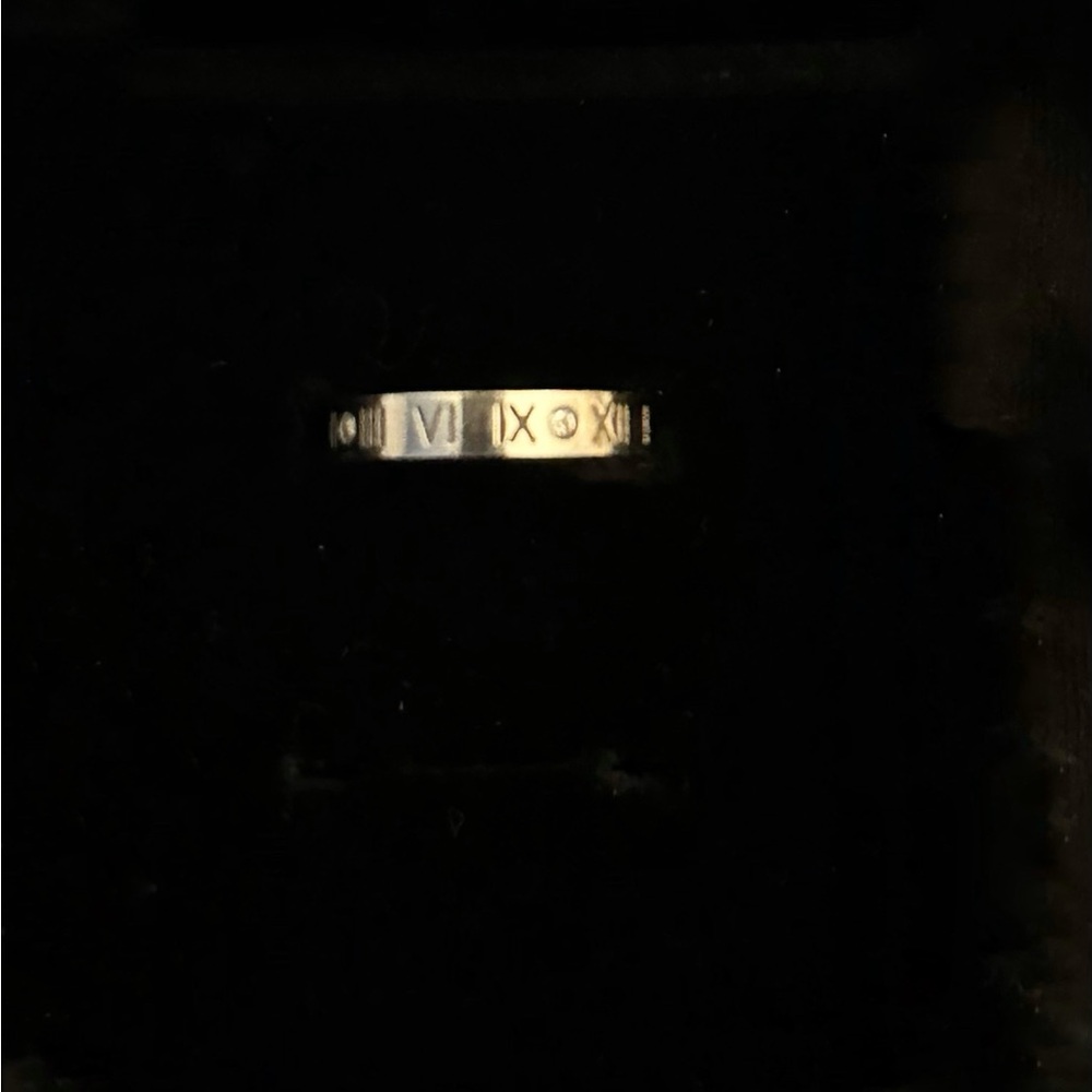Stainless steel band with stones and Roman numerals, size 7